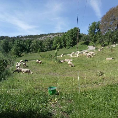 Les Logis De Lucie Daire Selonnet Dış mekan fotoğraf