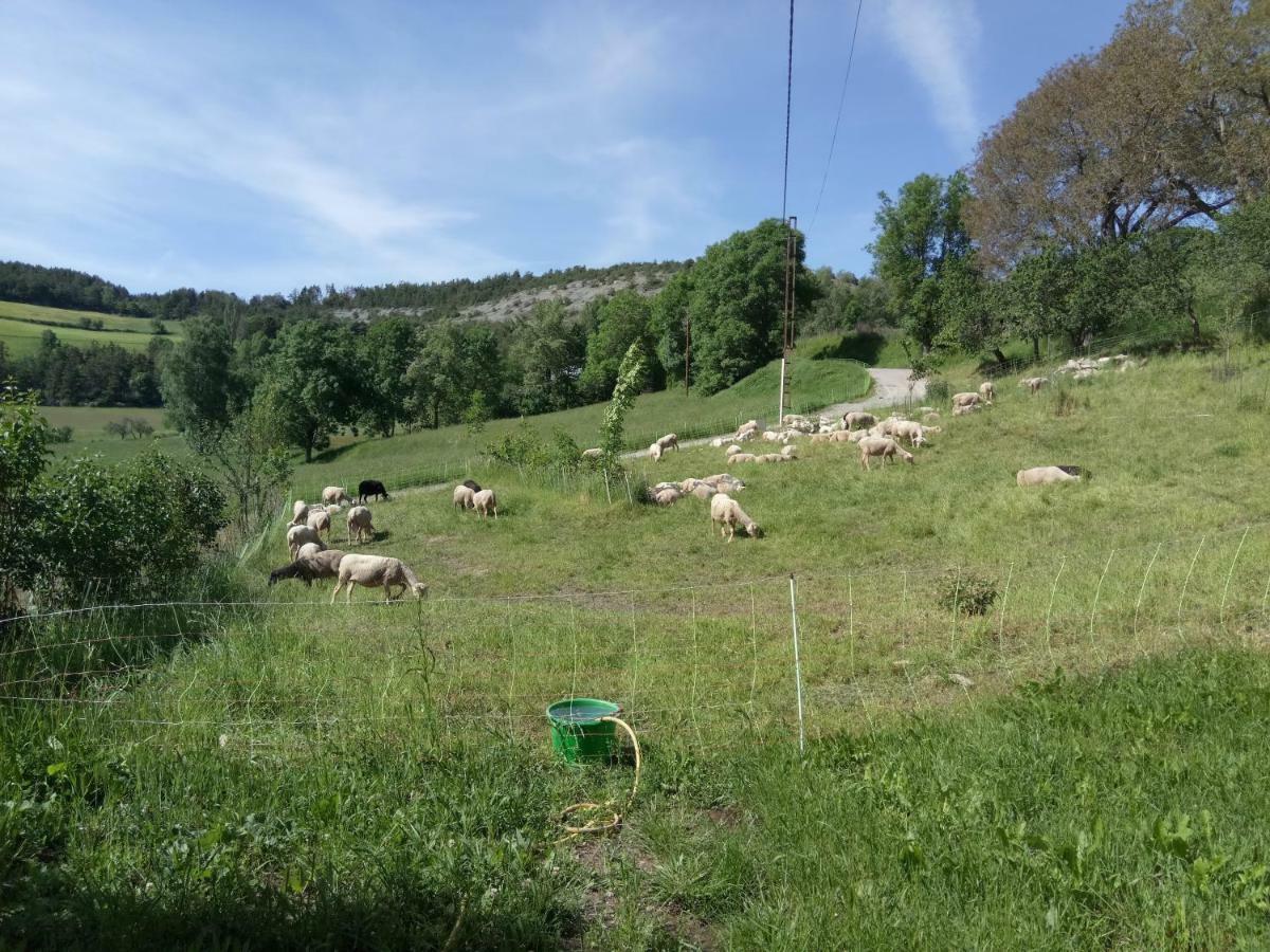 Les Logis De Lucie Daire Selonnet Dış mekan fotoğraf